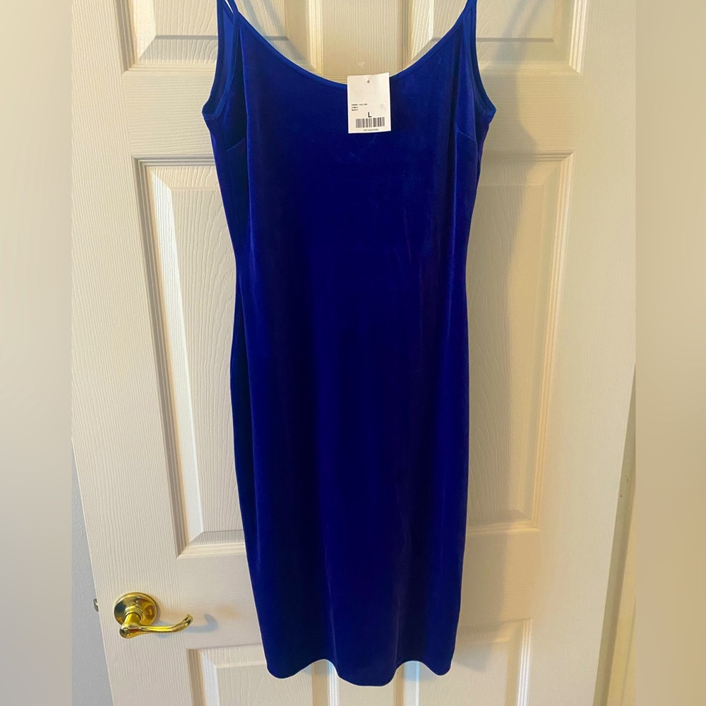 Forever 21 Velour Style Cobalt Dress